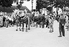 Auf dem Viehmarktplatz