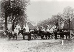 Kutschen am Viehmarktplatz