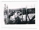 Liberated - Barbed Wire Fence Liberated - Barbed Wire Fence