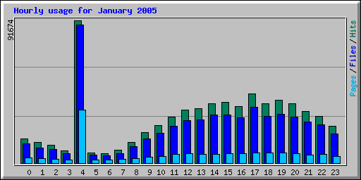 Hourly usage for January 2005